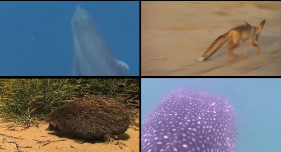 yl23455永利集团(中国)股份有限公司