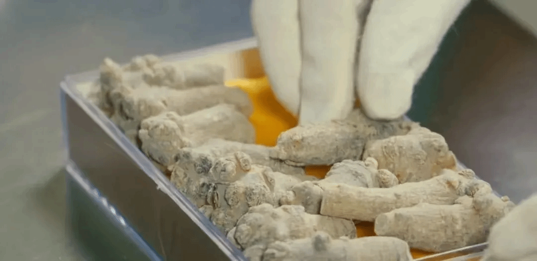 yl23455永利集团(中国)股份有限公司