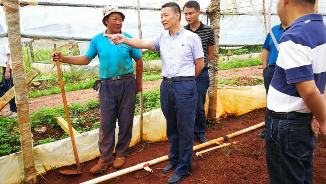 yl23455永利集团(中国)股份有限公司