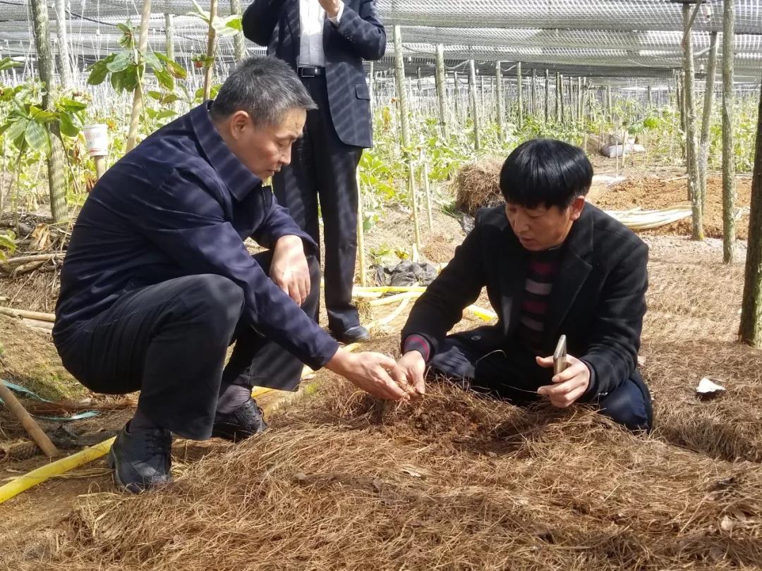 yl23455永利集团(中国)股份有限公司