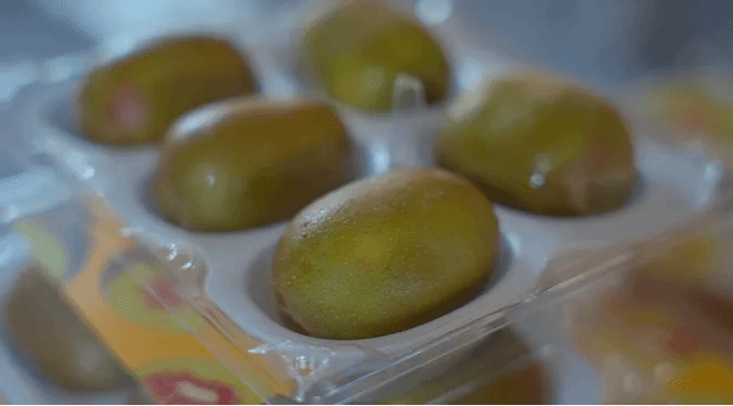 yl23455永利集团(中国)股份有限公司