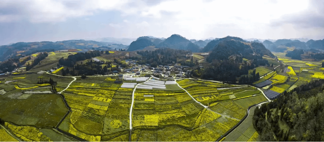 yl23455永利集团(中国)股份有限公司