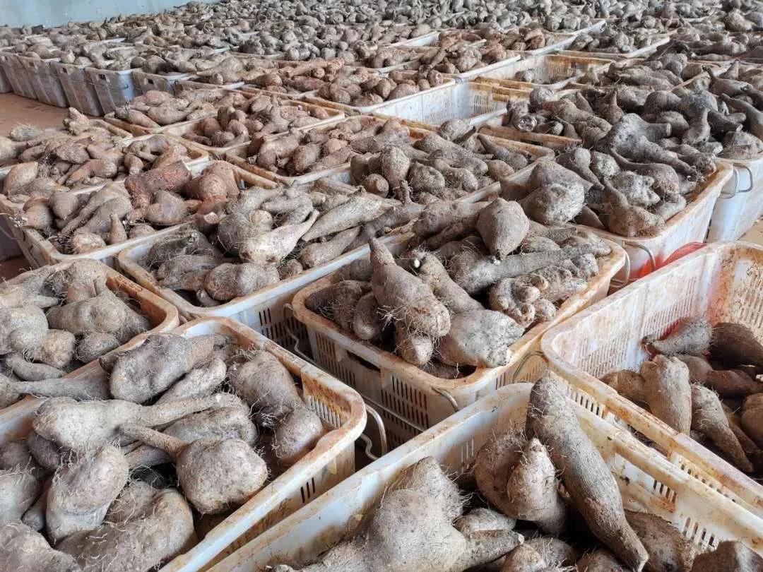 yl23455永利集团(中国)股份有限公司