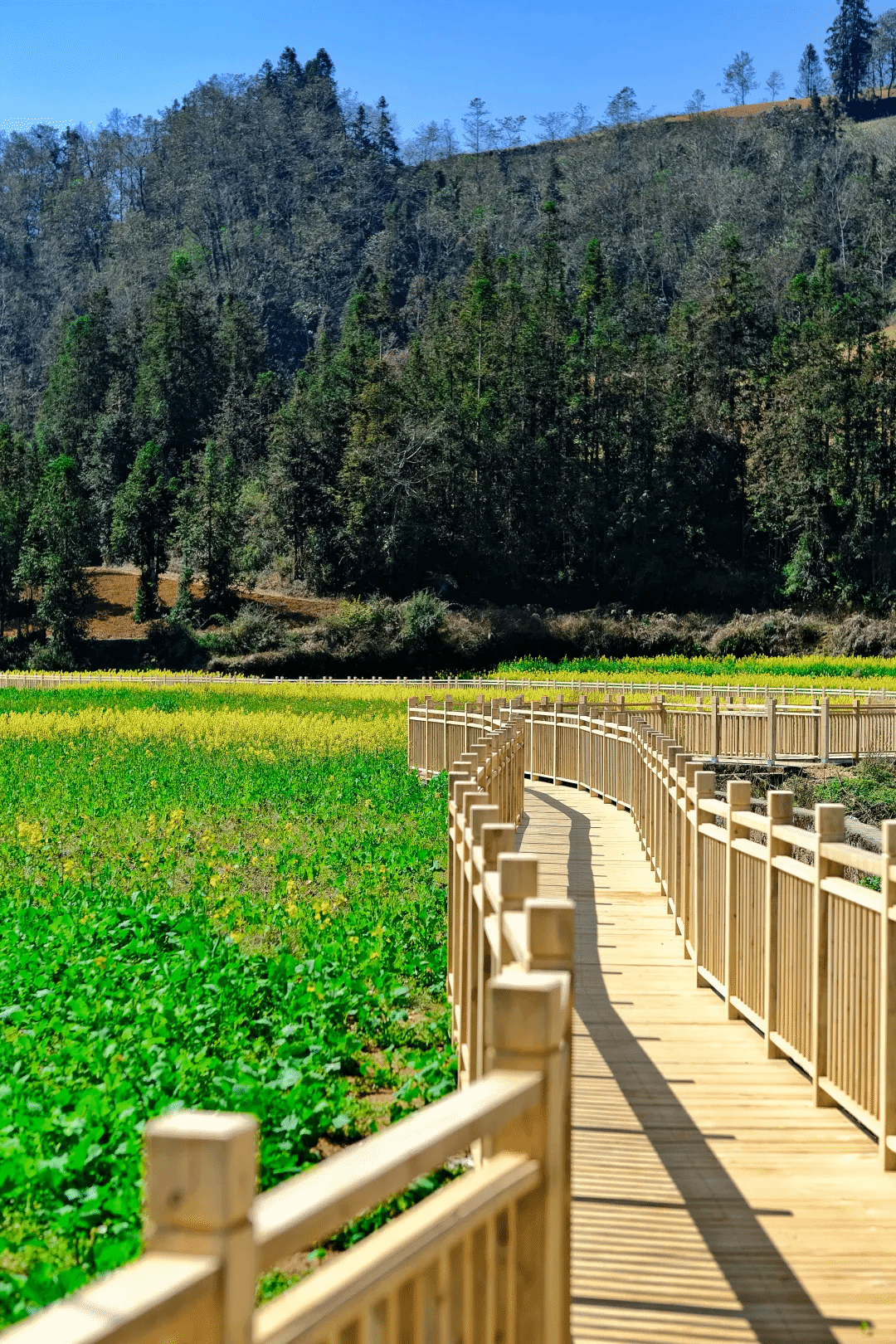 yl23455永利集团(中国)股份有限公司