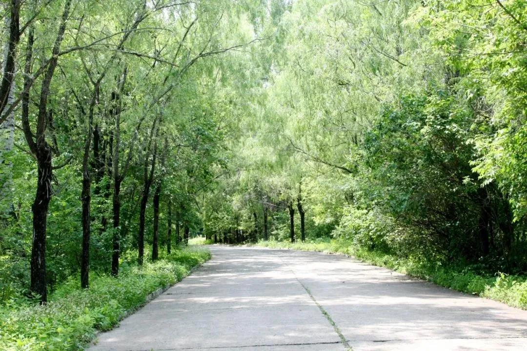 yl23455永利集团(中国)股份有限公司