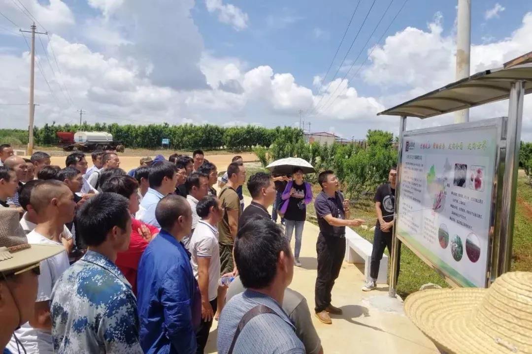 yl23455永利集团(中国)股份有限公司