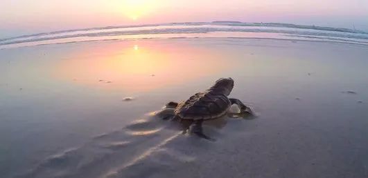 yl23455永利集团(中国)股份有限公司