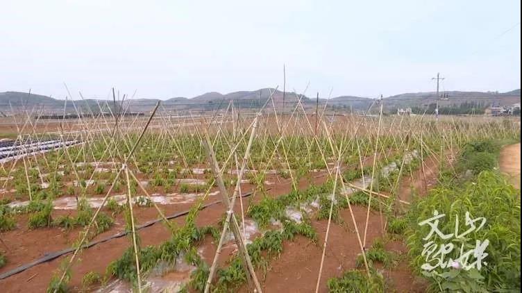 yl23455永利集团(中国)股份有限公司