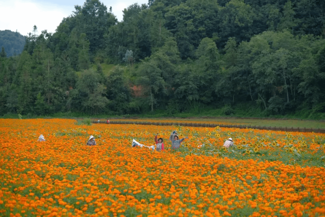 yl23455永利集团(中国)股份有限公司